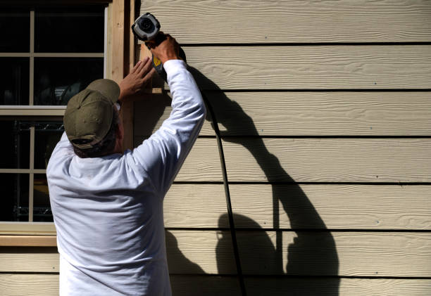 Best Stone Veneer Siding  in Munster, IN